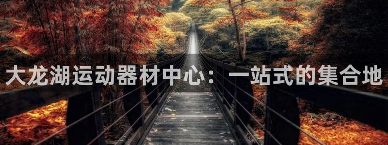 678体育官方正版app开户：大龙湖运动器材中心：一站式的集