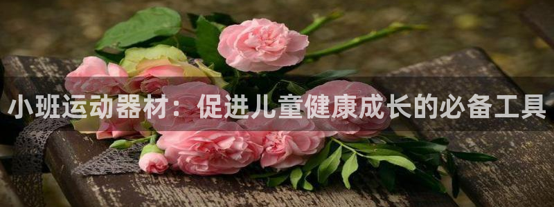 678体育官网下载平台注册：小班运动器材：促进儿童健康成长的
