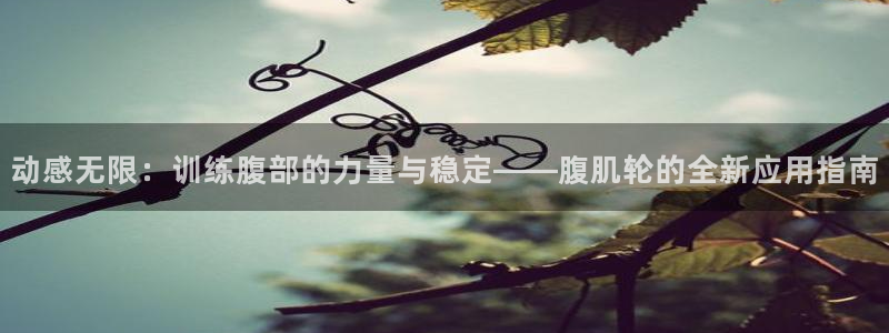 注册678体育官方正版app：动感无限：训练腹部的力量与稳定