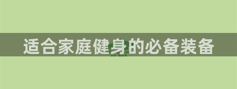 678体育官方正版app集团E.ON：适合家庭健身的必备装备