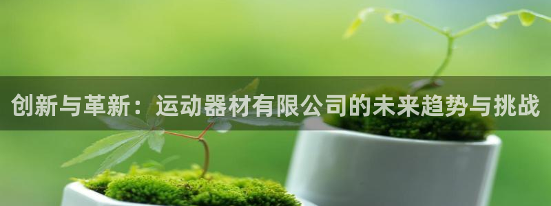678体育官方正版app五金厂：创新与革新：运动器材有限公司