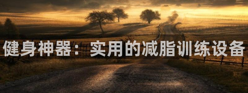 678体育官方正版app集团E.ON：健身神器：实用