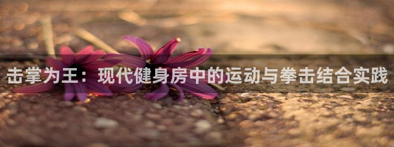 678体育官网下载平台注册流程图：击掌为王：现代健身