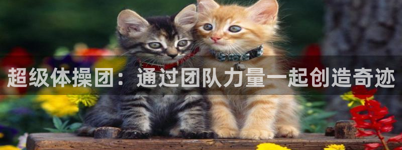 球速体育