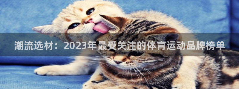 球速体育