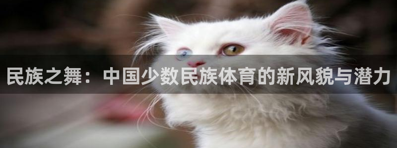 球速体育